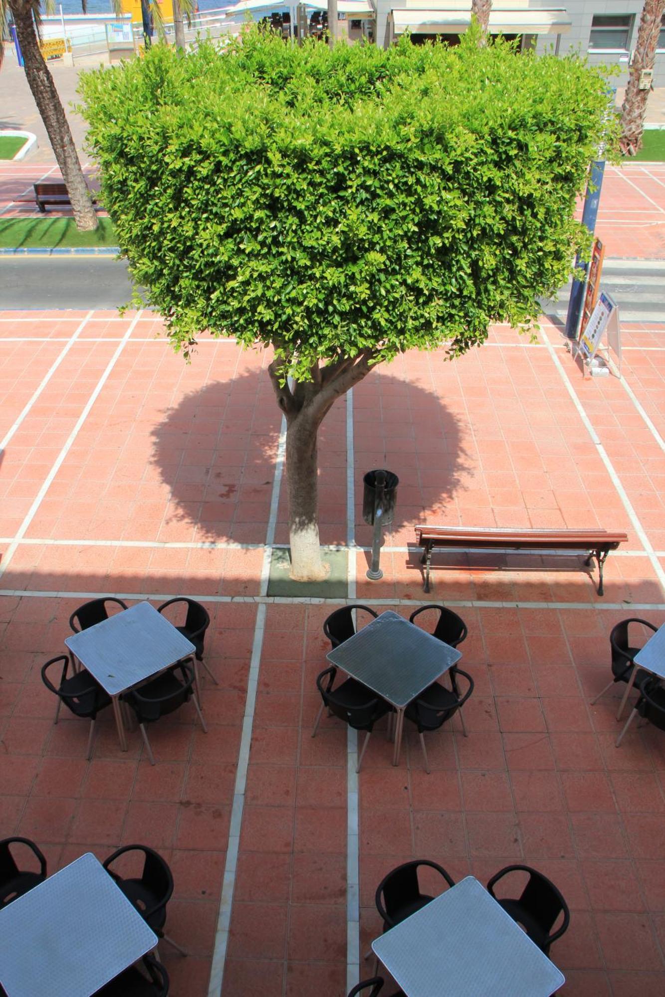 Hotel El Marino Santiago De La Ribera Kamer foto